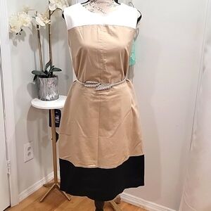 The Limited Dress Sz 12 C78